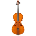 Eastman VC200 Cello Outfit